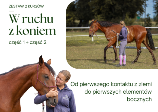 Zestaw 2 kursów - Od pierwszego kontaktu z ziemi + Ruch i pierwsze elementy boczne